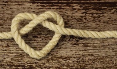 Hollanda Aşk ve Bağlama Büyüsü